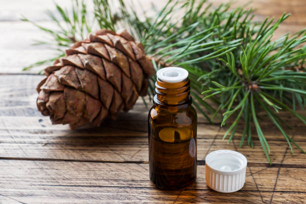 Cedar oil and spruce essential oil in small glass bottles